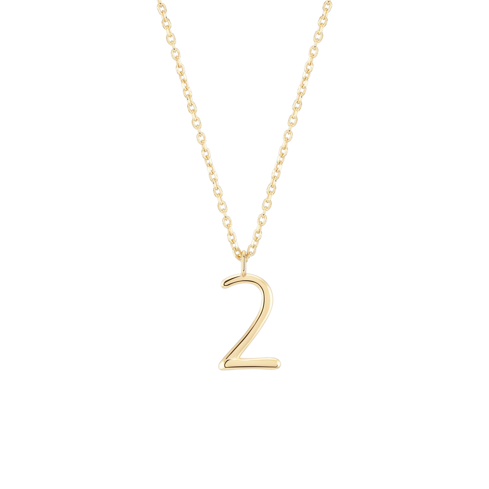 
                  
                    Load image into Gallery viewer, Number 2 Necklace - Wonther
                  
                