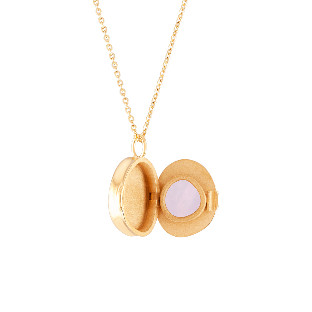
                  
                    Load image into Gallery viewer, Good Vibes Locket Rose Quartz - Wonther
                  
                