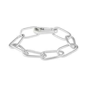 
                  
                    Load image into Gallery viewer, Life Link Bracelet Silver
                  
                