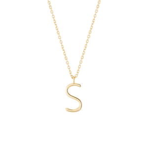 
                  
                    Load image into Gallery viewer, Initial S Necklace Colar Wonther 
                  
                