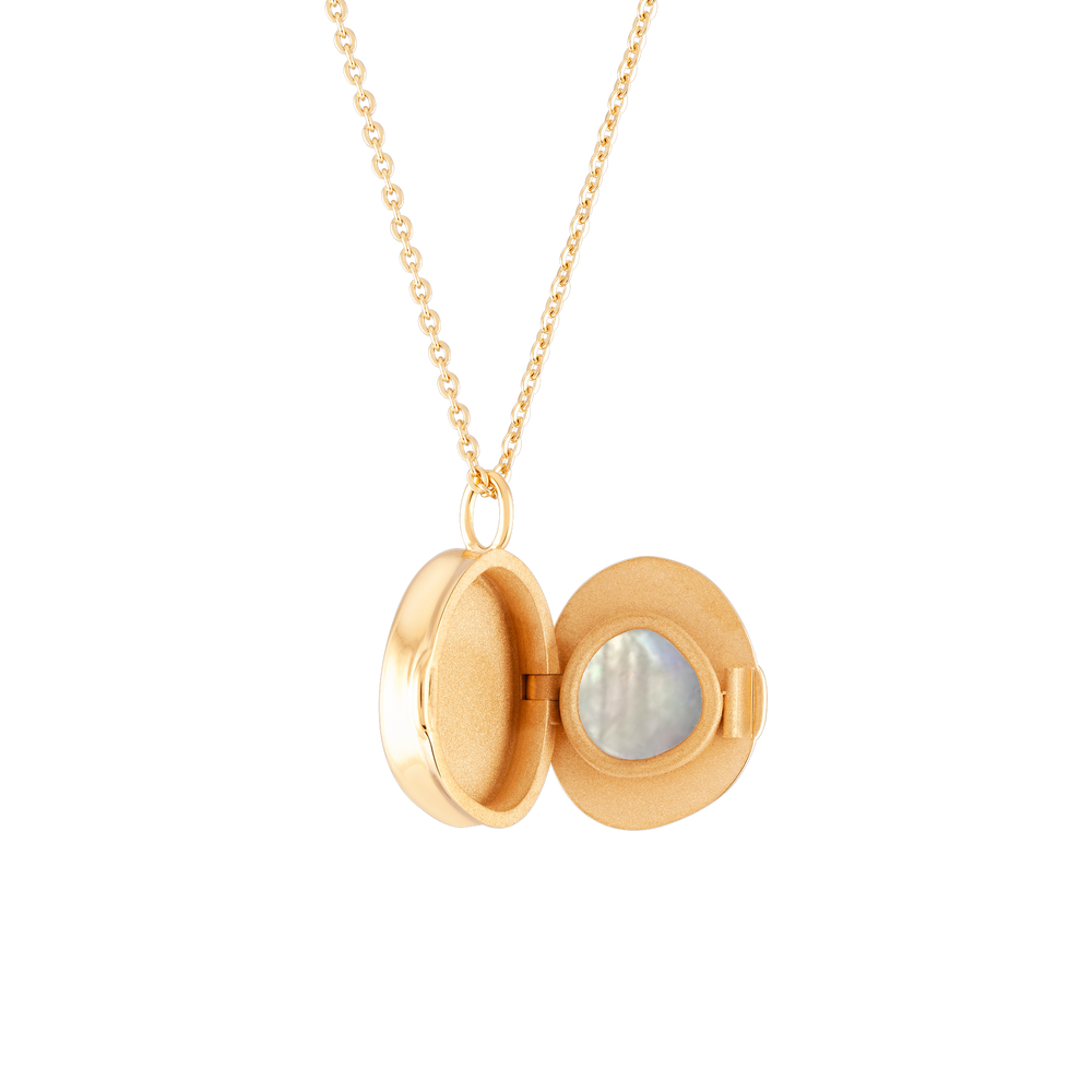 
                  
                    Load image into Gallery viewer, Good Vibes Locket Moonstone
                  
                