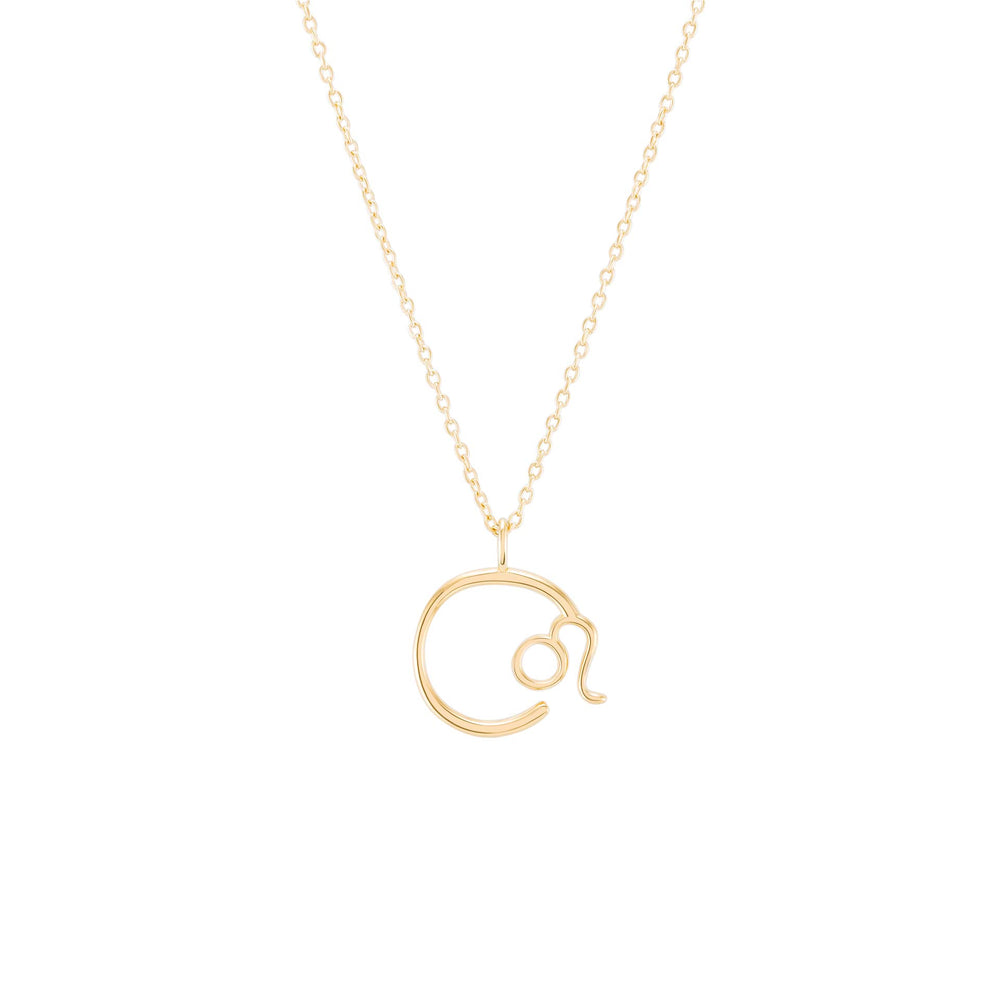 
                  
                    Load image into Gallery viewer, Zodiac Leo Necklace
                  
                