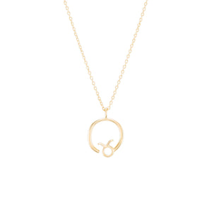 
                  
                    Load image into Gallery viewer, Zodiac Taurus Necklace
                  
                