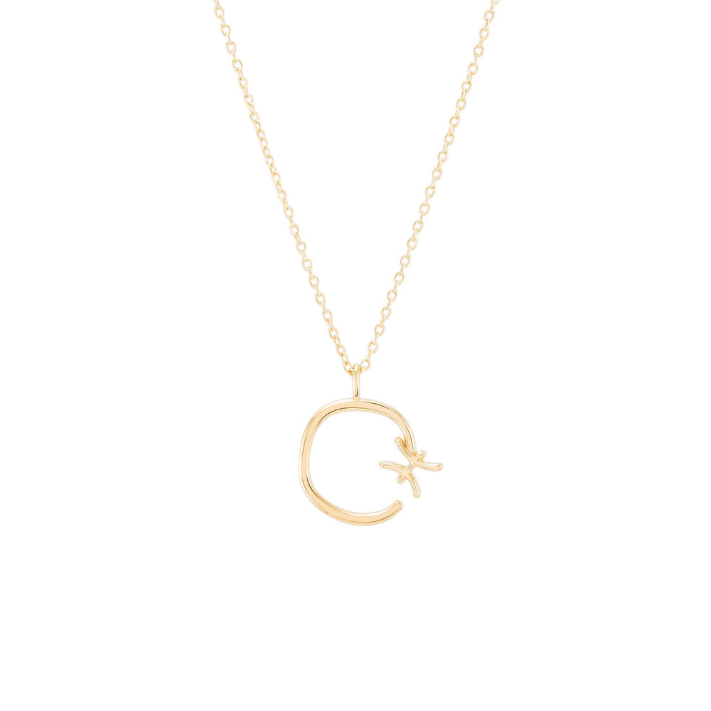 
                  
                    Load image into Gallery viewer, Zodiac Pisces Necklace
                  
                