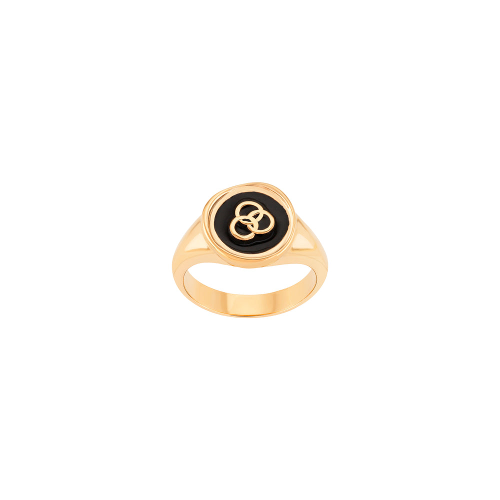 
                  
                    Load image into Gallery viewer, Family Signet Ring - Wonther
                  
                